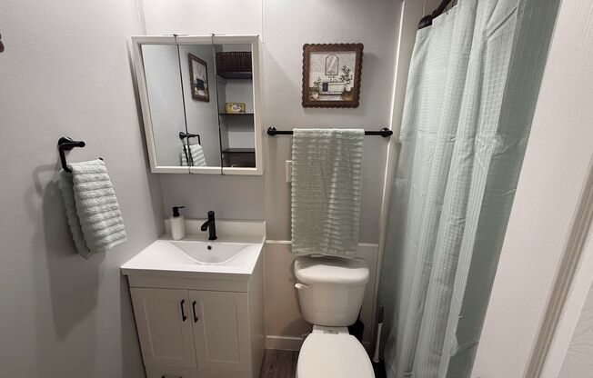 1 bed, 1 bath, 550 sqft, $1,300, Unit 1202