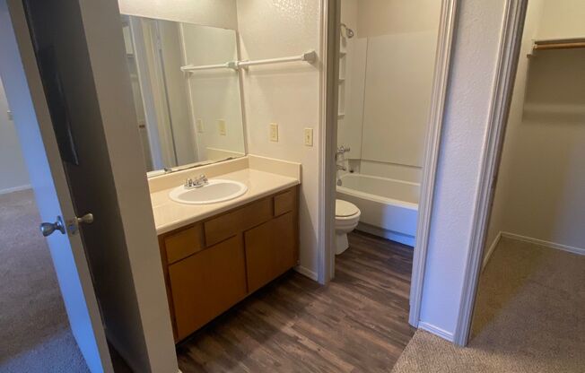 1 bed, 1 bath, 535 sqft, $799