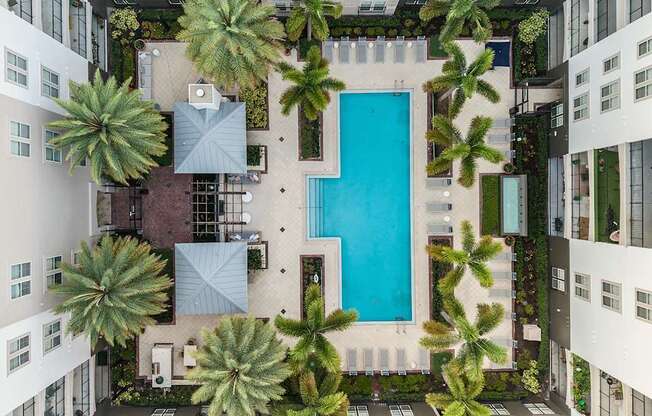 A swimming pool surrounded by palm trees and buildings.