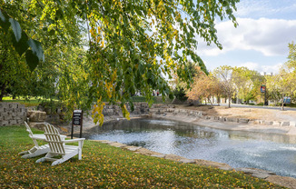 a bench sits next to a pond in a park