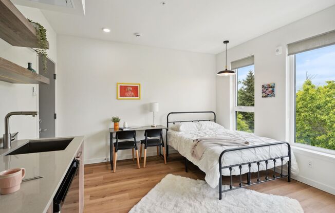 Studio, 1 bath, 250 sqft, $1,350, Unit 101
