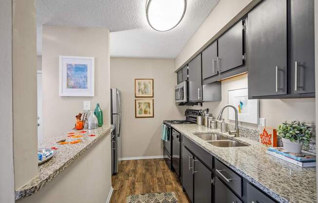 a kitchen with granite counter tops and dark cabinets at 701 South Apartments in Mobile, AL