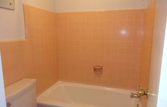 Studio, 1 bath, $575, Unit #31 Mountair