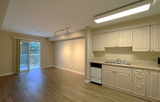 Studio, 1 bath, 413 sqft, $1,150, Unit 307