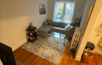 683 W Wrightwood Ave #3S