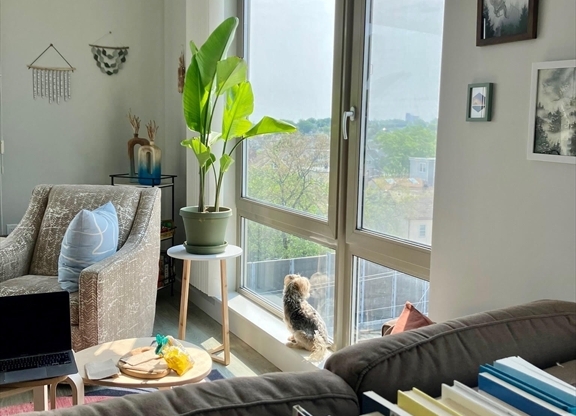 2 beds, 2 baths, 1,104 sqft, $4,195, Unit 502