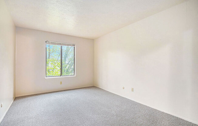 Large bedroom with a window and carpet