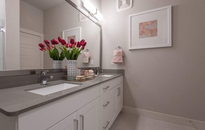 a bathroom with a sink and a mirror