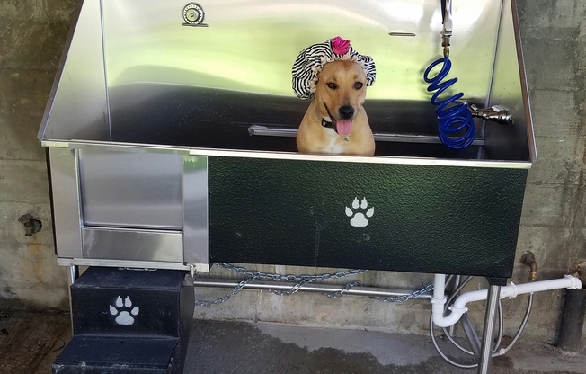 2 beds, 1 bath, 901 sqft, $1,929, Unit 22