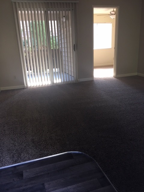 1 bed, 1 bath, 495 sqft, $1,100, Unit 201