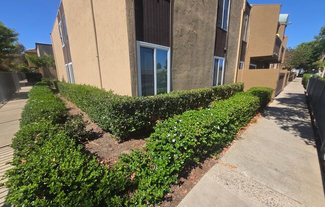 4 beds, 2 baths, $3,500, Unit Unit 113