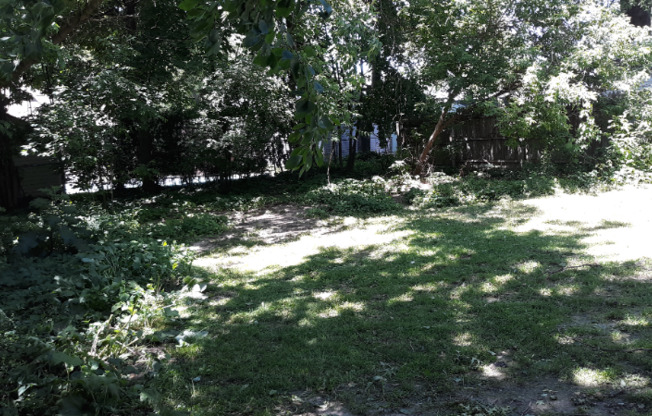 311 PLYMOUTH NE