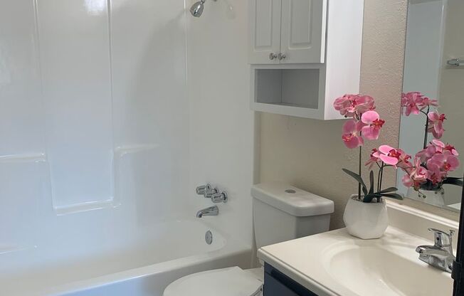1 bed, 1 bath, 620 sqft, $1,300, Unit 3220 A