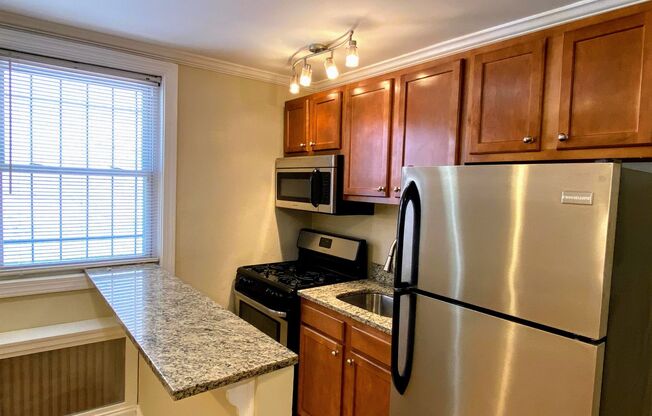 Studio, 1 bath, 300 sqft, $1,480, Unit 7