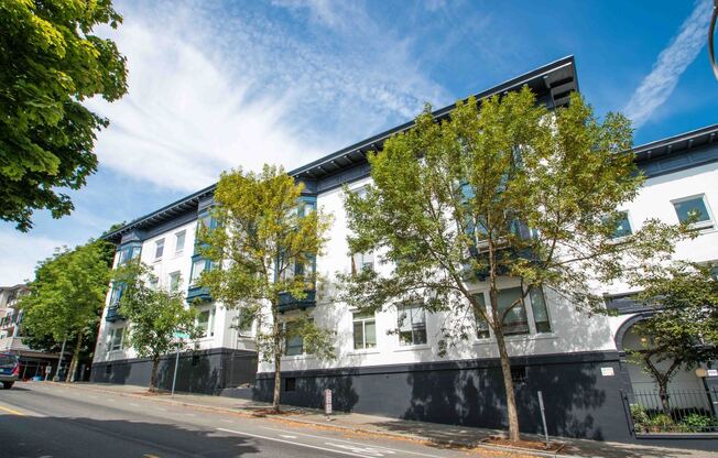 1 bed, 1 bath, 652 sqft, $1,845, Unit 312