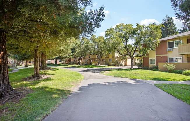 a tree lined street between two apartment buildings with trees