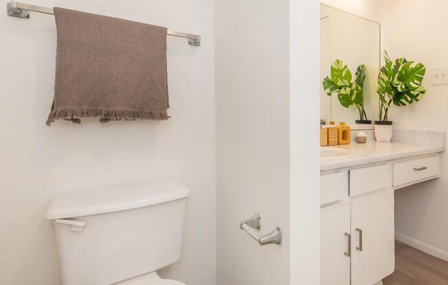 2 beds, 1 bath, 780 sqft, $999