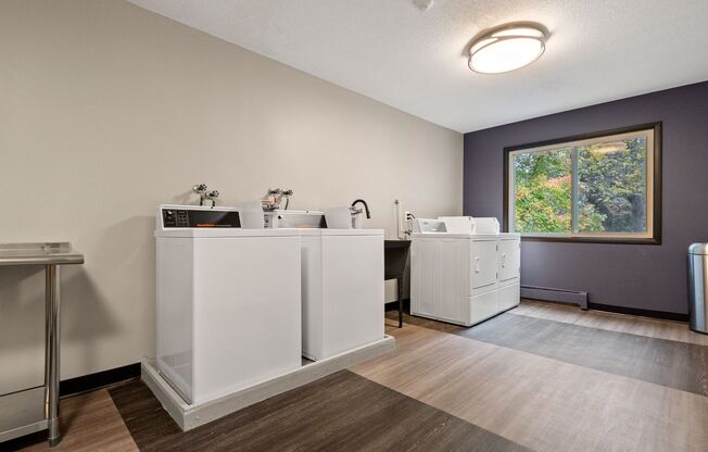 1 bed, 1 bath, 730 sqft, $1,329, Unit 113