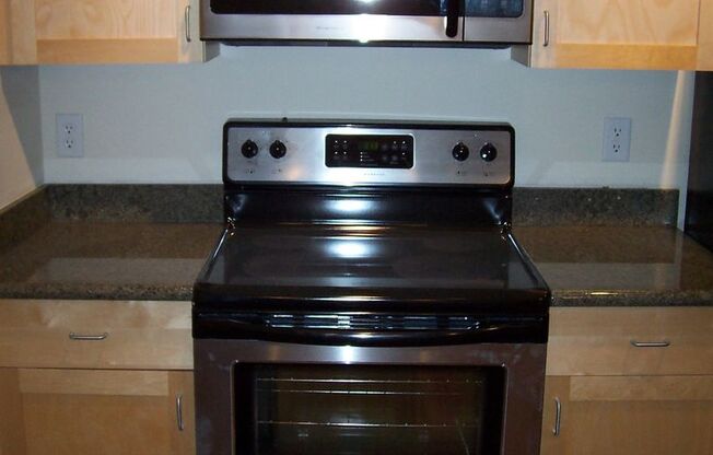 1 bed, 1 bath, $1,300, Unit APARTMENT 306