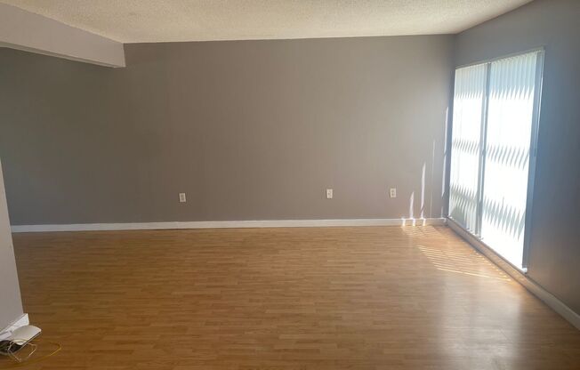 Spacious 1,226 SF Unit - 2 bd / 2 ba near UF - Brandywine Condos