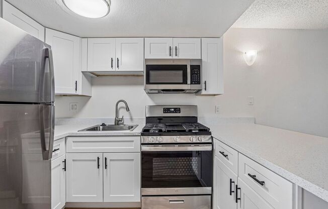 1 bed, 1 bath, 450 sqft, $1,445, Unit 49