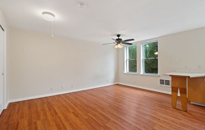 Studio, 1 bath, 400 sqft, $1,150, Unit A02