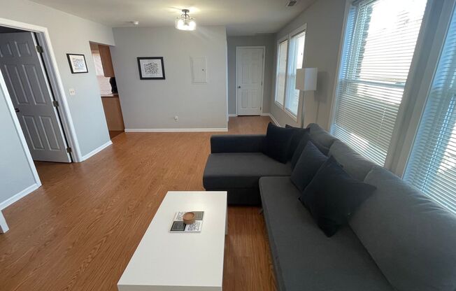 1 bed, 1 bath, $1,200, Unit 3