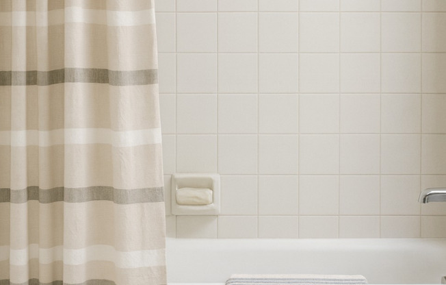 Studio, 1 bath, 445 sqft, $1,600, Unit 309