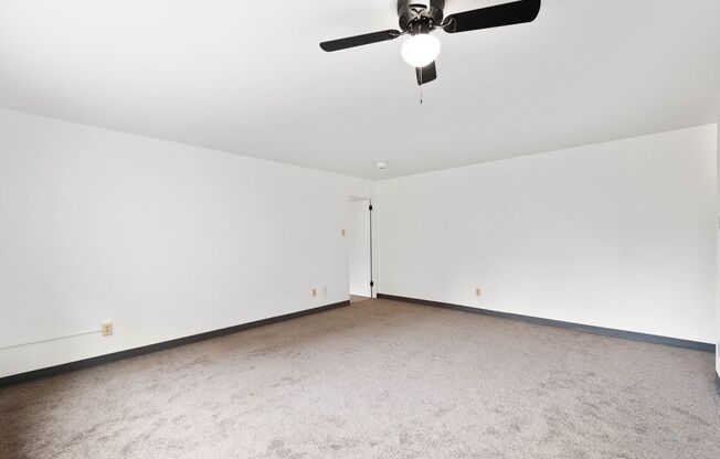 1 bed, 1 bath, 800 sqft, $450, Unit 2117 Brownsville Road - B21