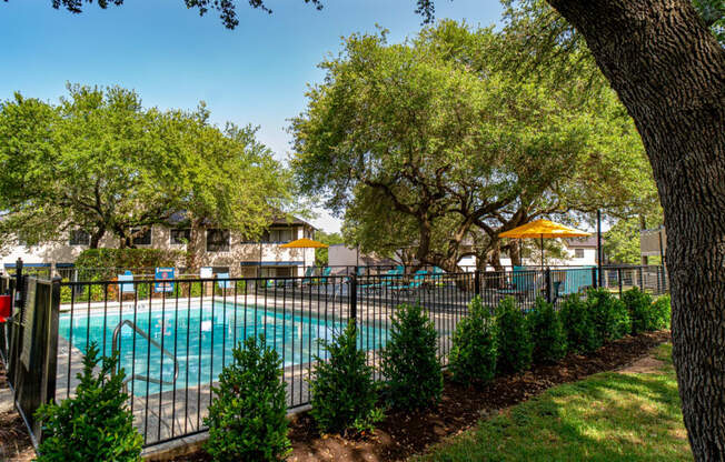 apartments for rent in austin with a swimming pool