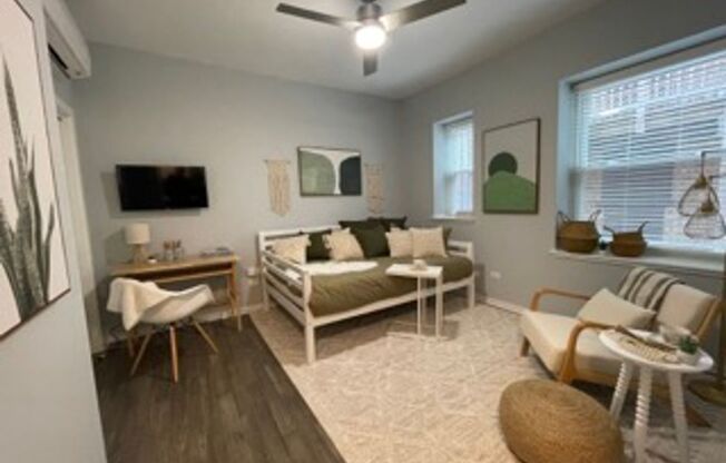 Studio, 1 bath, $1,100, Unit 110