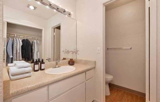 9.-Staged-Bathroom-Sink-and-WC.jpg