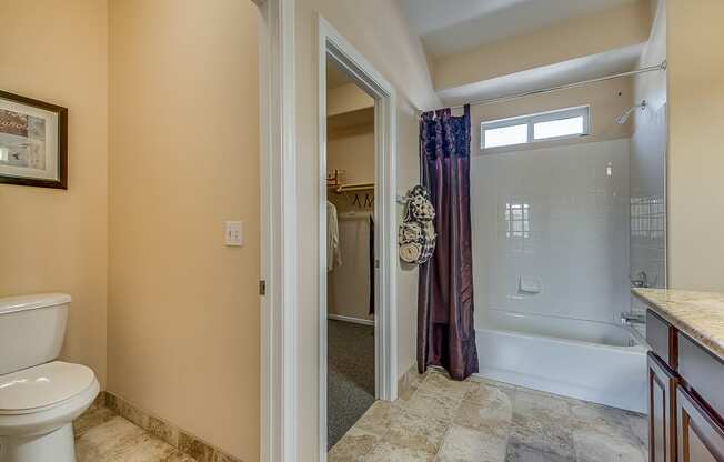 a bathroom with a shower and a toilet and a sink