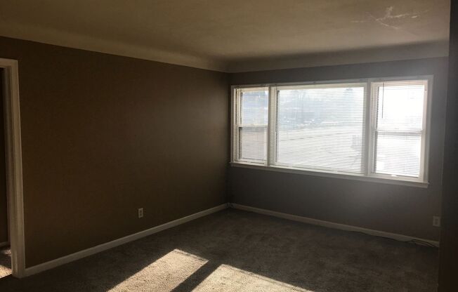 1 bed, 1 bath, 505 sqft, $895, Unit 101