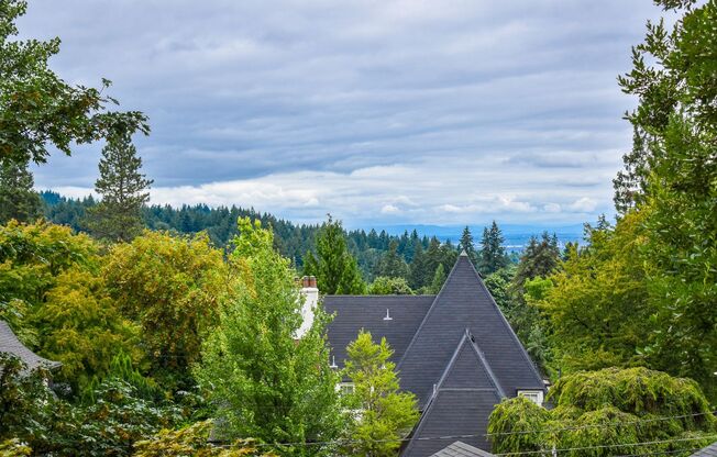 Three bedroom and Two Bathroom home in Portland Heights! Gourmet Kitchen and incredible natural Lighting