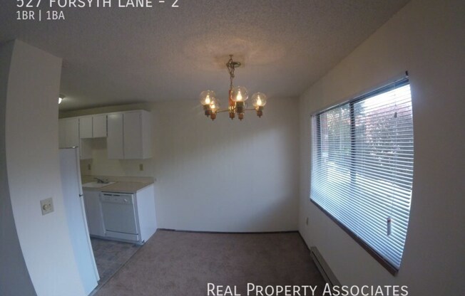 527 FORSYTH LN