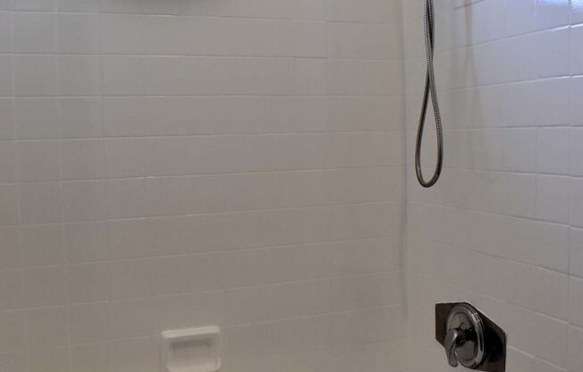 bathtub with adjustable shower head