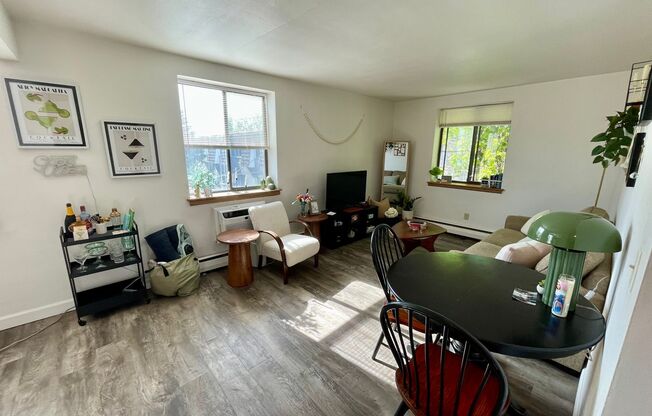 1 bed, 1 bath, $1,095, Unit 309