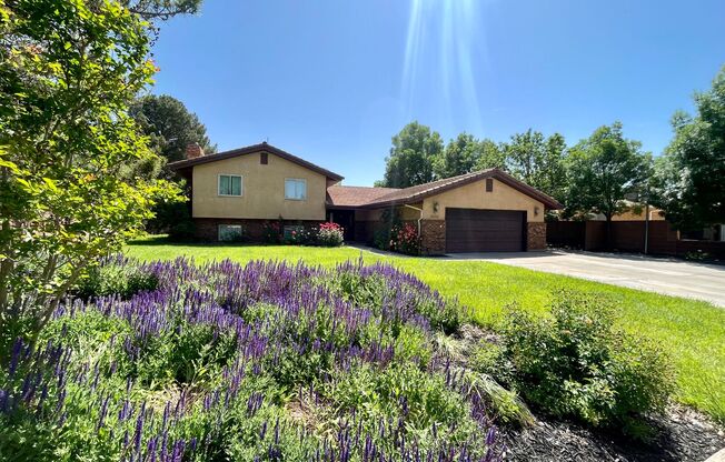 Adorable Four-Bedroom Home in Bloomington with Private Pool and Massive Yard