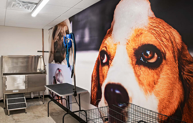 a photo of a pet grooming salon