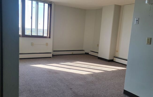 1 bed, 1 bath, 528 sqft, $740, Unit 1225