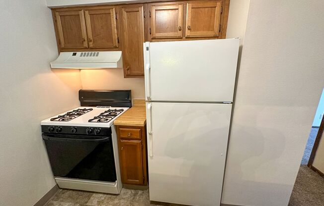 1 bed, 1 bath, $700