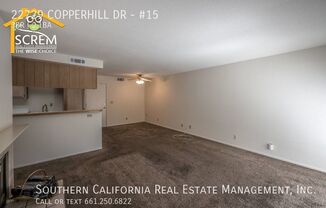 22729 COPPERHILL DR