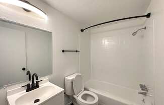 a bathroom with a sink toilet and bathtub