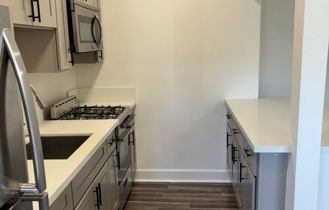 1 bed, 1 bath, 550 sqft, $1,650, Unit 0101