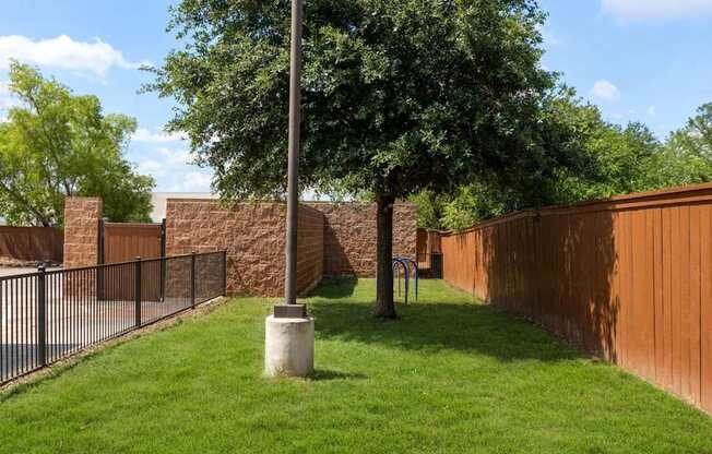 A tree stands next to a pole in a grassy area.