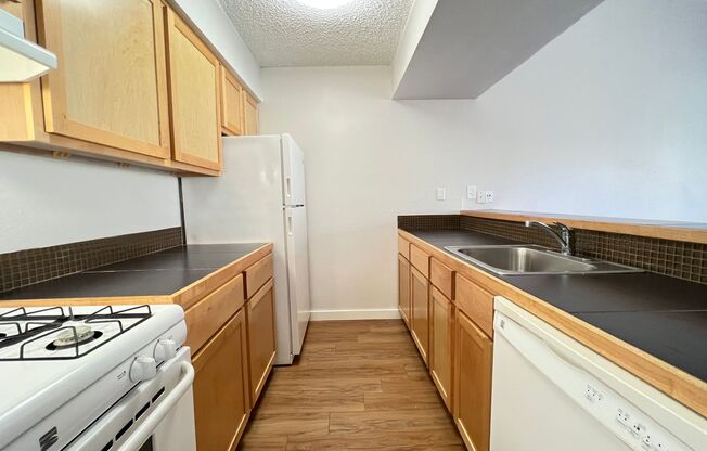 Studio, 1 bath, 575 sqft, $950, Unit OCR-239