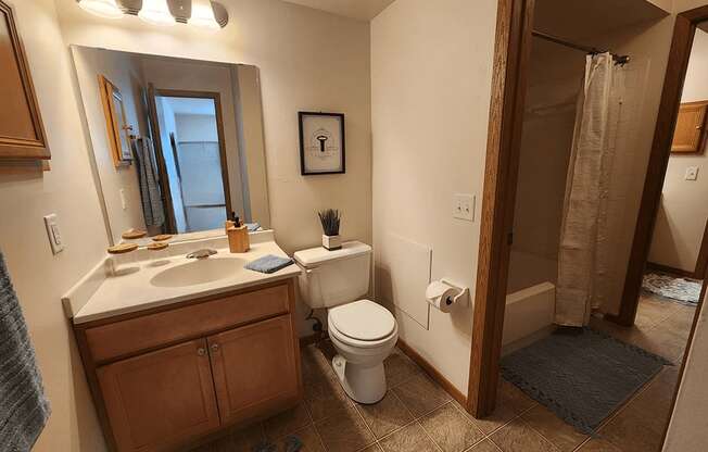 A bathroom with a toilet, sink, and mirror.