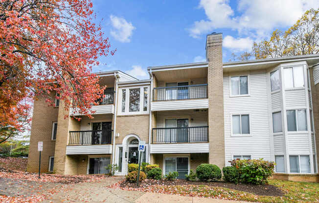 Apartment building with a tree with red leaves in front.