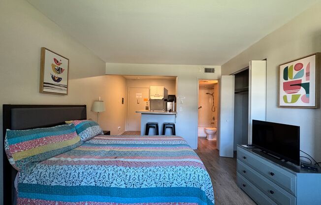 Studio, 1 bath, 310 sqft, $900, Unit 3